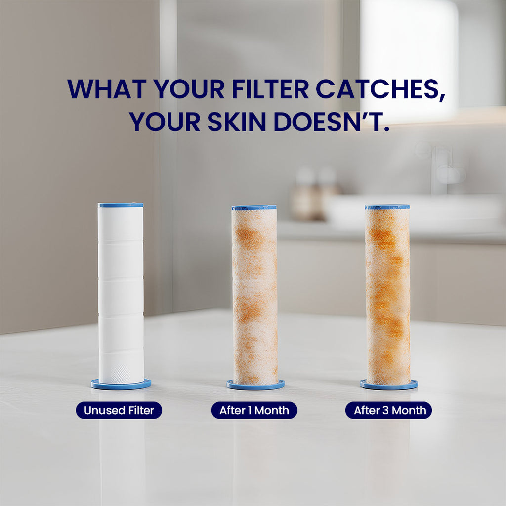 Aquavera Filtered Shower Head